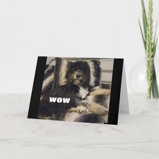 WOW GLAUBT NUR NICHT, DASS SIE "60"-KARTE SIND KARTE (Vorderseite)