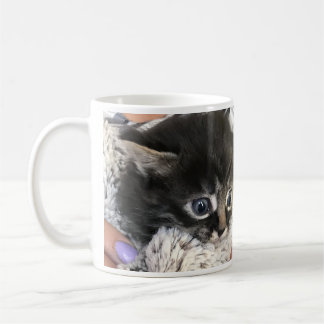 Wow, ich bewundere dich! Katzen-Kaffeetasse Kaffeetasse