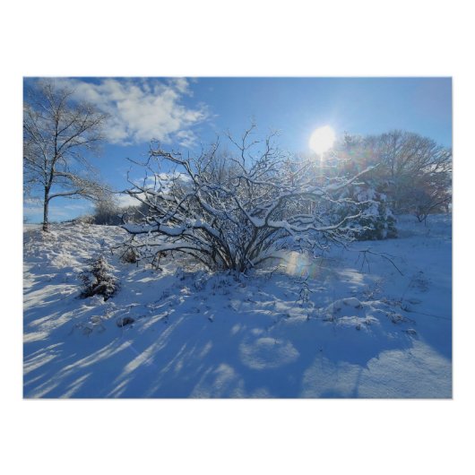Wow ist der Winter der Künstlerinhalte Poster (Vorderseite)