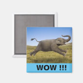 WOW Magnet (Vorderseite/Rückseite)