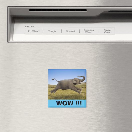 WOW Magnet (In Situ (Geschirrspüler))