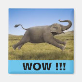 WOW Magnet (Vorne)