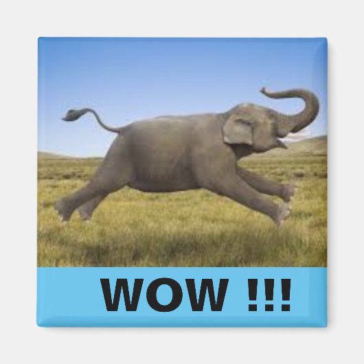 WOW Magnet (Vorne)