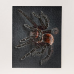 WOW! Super Cool Tarantula Spider Puzzle