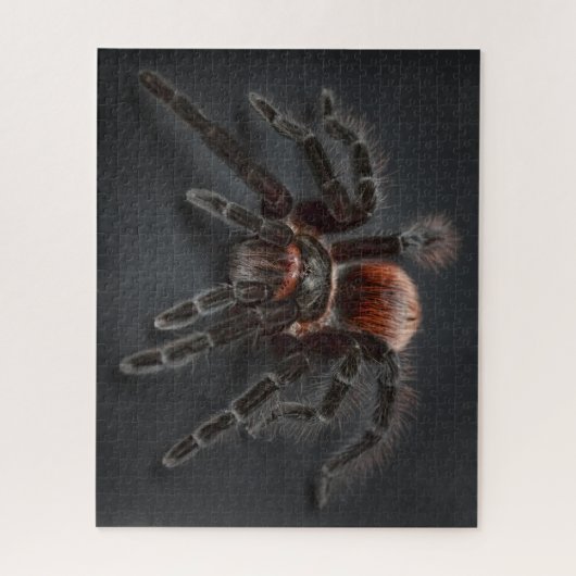 WOW! Super Cool Tarantula Spider Puzzle (Vertikal)