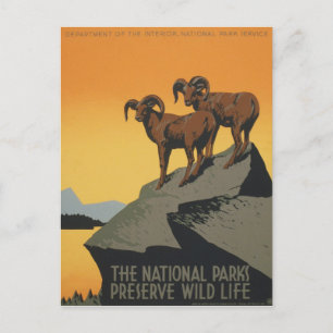 WPA Vintage Nationalparks Naturschutzgebiete Postkarte