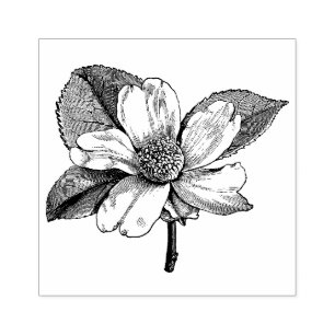 WQ GUMMIBriefmarke: Vintage Hartriegel-Blume Gummistempel