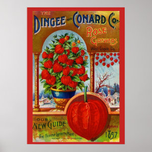 WQ POSTER: Chinesische Laterne Poster