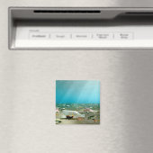 Wrack-Magnet Magnet (In Situ (Geschirrspüler))