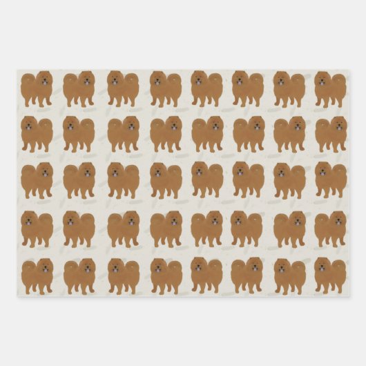 Wrackpapier für Kaschenkissen Geschenkpapier Set (Vorderseite 2)