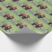 Wrackpapier Geschenkpapier (Ecke)