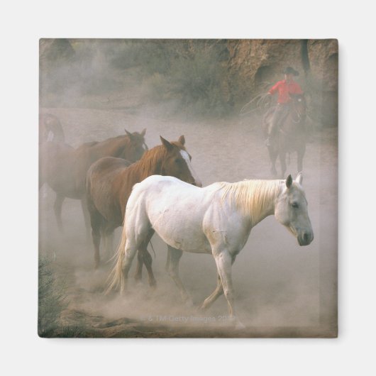 Wrangler mit Pferden Magnet (Vorne)