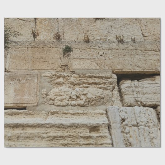 Wrap Geschenkpapier (Flach)