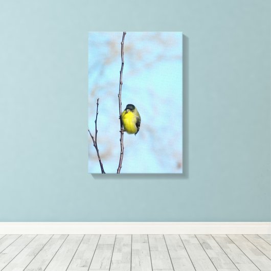 Wrapped Canvas - Angry Finch Leinwanddruck (Insitu (Holzboden))