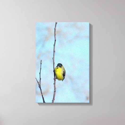 Wrapped Canvas - Angry Finch Leinwanddruck (Vorderseite)