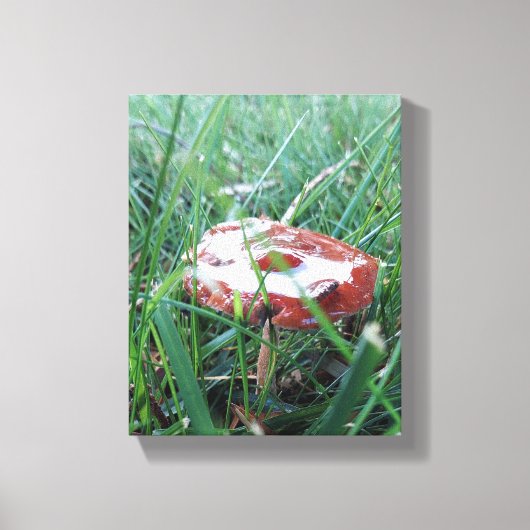 Wrapped Canvas Leinwanddruck (Vorderseite)