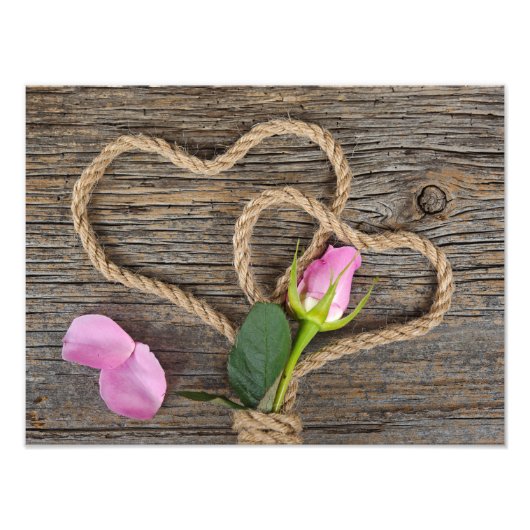 Wrapped Rose Bud Fotodruck (Vorne)