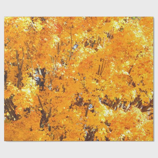 Wrapping Paper für Herbst-Gold-Blätter Geschenkpapier (Flach)