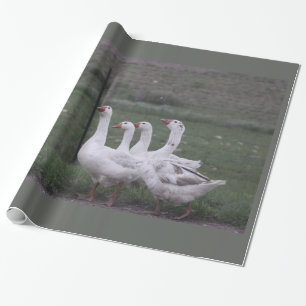 Wrapping Paper Geschenkpapier