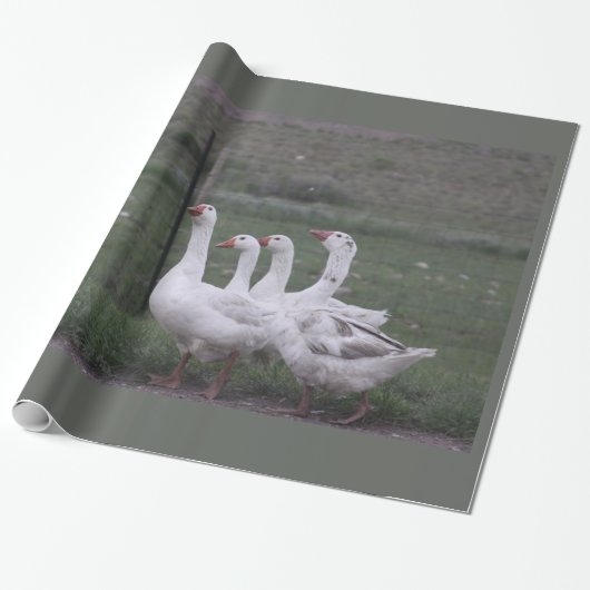Wrapping Paper Geschenkpapier (Ungerollt)