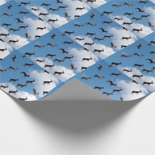 Wrapping Paper Geschenkpapier (Ecke)