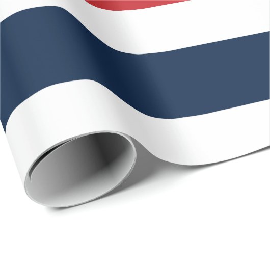 Wrapping Paper Geschenkpapier (Rolleneckpunkt)