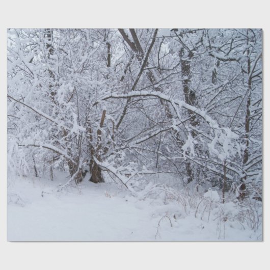 Wrapping Paper Geschenkpapier (Flach)