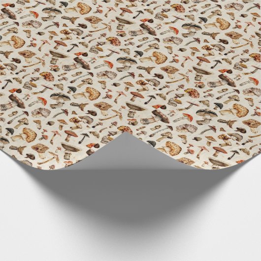 Wrapping Paper Geschenkpapier (Ecke)