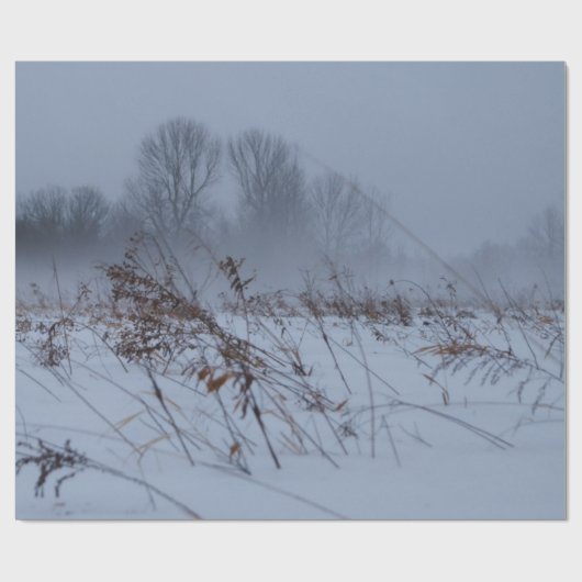 Wrapping Paper Geschenkpapier (Flach)