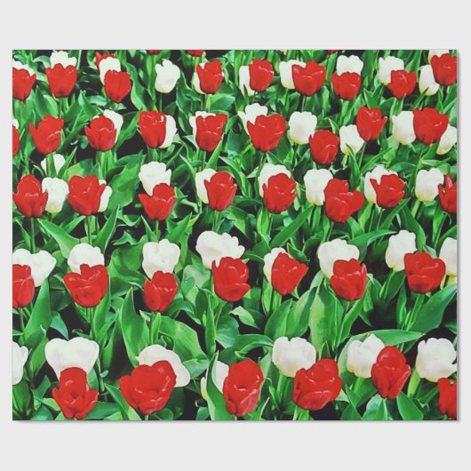Wrapping Paper Geschenkpapier (Flach)
