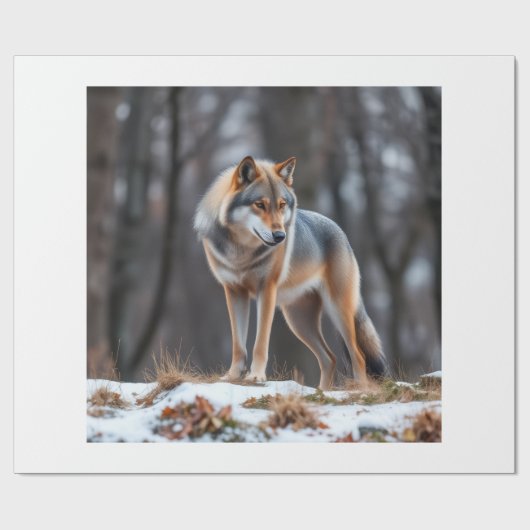 Wrapping paper  geschenkpapier (Flach)