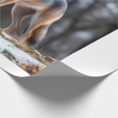 Wrapping paper  geschenkpapier (Ecke)