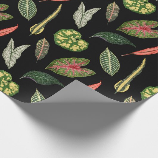 Wrapping Paper Geschenkpapier (Ecke)