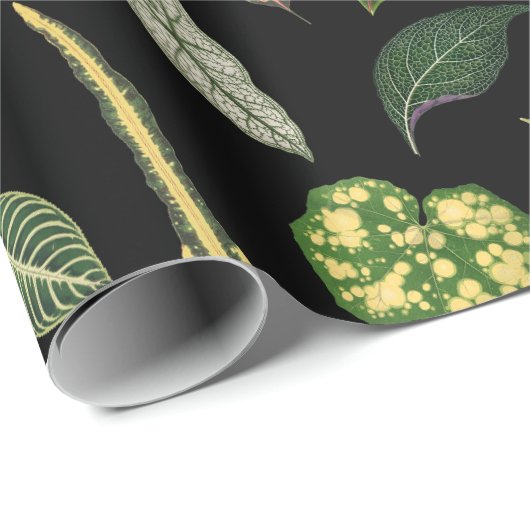 Wrapping Paper Geschenkpapier (Rolleneckpunkt)
