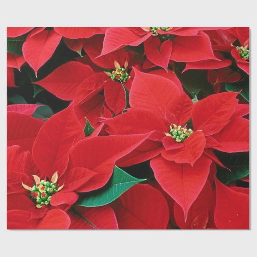 Wrapping Paper Geschenkpapier (Flach)