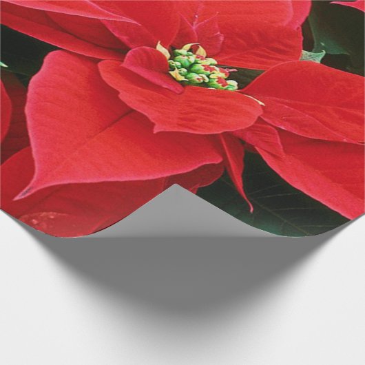 Wrapping Paper Geschenkpapier (Ecke)