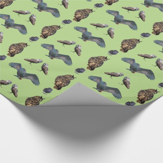 Wrapping Paper (Light Green) (Owl Frenzy Wrapping  Geschenkpapier (Ecke)
