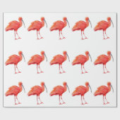 Wrapping Paper - Scarlet Ibis Geschenkpapier (Flach)