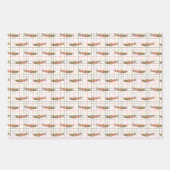 Wrapping Paper Set - Chinook Lachs Geschenkpapier Set (Vorderseite)