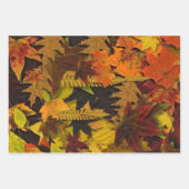 Wrapping Paper Set - Herbstleder Geschenkpapier Set (Vorderseite 2)