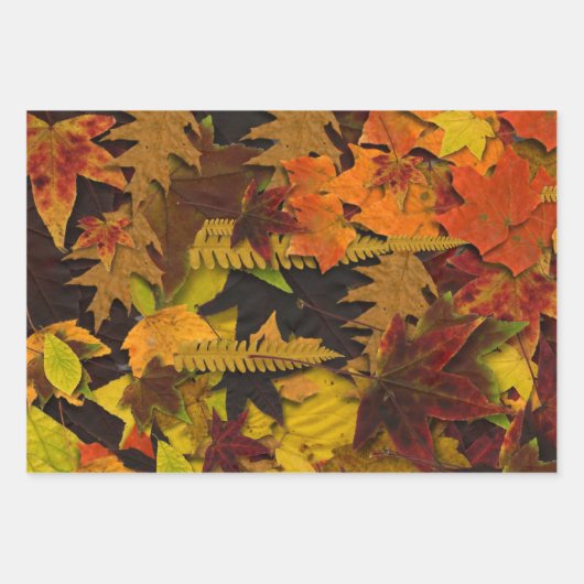 Wrapping Paper Set - Herbstleder Geschenkpapier Set (Vorderseite 2)