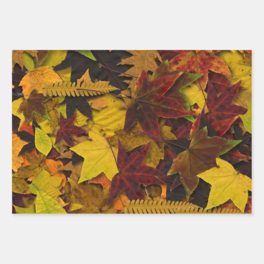 Wrapping Paper Set - Herbstleder Geschenkpapier Set (Vorderseite)