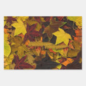 Wrapping Paper Set - Herbstleder Geschenkpapier Set (Vorderseite 3)