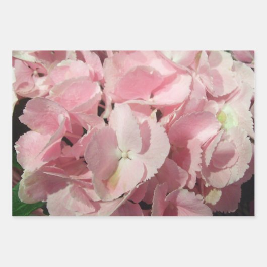Wrapping Paper Set - Hydrangea Collection I Geschenkpapier Set (Vorderseite)