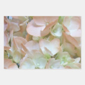Wrapping Paper Set - Hydrangea Collection I Geschenkpapier Set (Vorderseite 3)