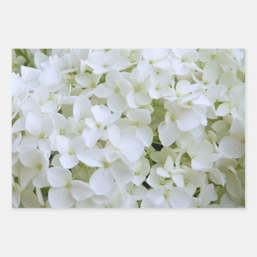 Wrapping Paper Set - Hydrangea Collection II Geschenkpapier Set (Vorderseite 2)