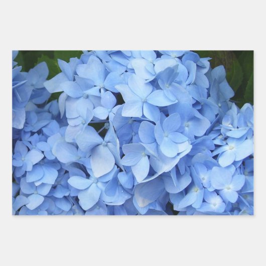 Wrapping Paper Set - Hydrangea Collection II Geschenkpapier Set (Vorderseite)