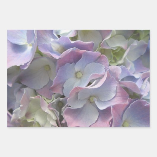 Wrapping Paper Set - Hydrangea Collection II Geschenkpapier Set (Vorderseite 3)