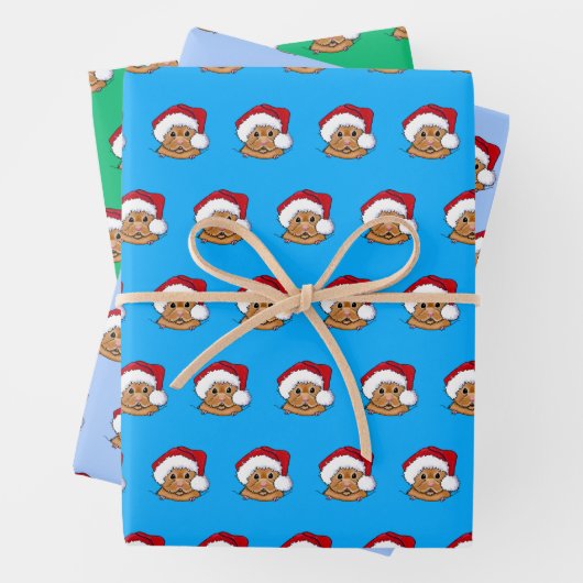 Wrapping Paper Set of 3 Sheets Geschenkpapier Set (Beispiel)