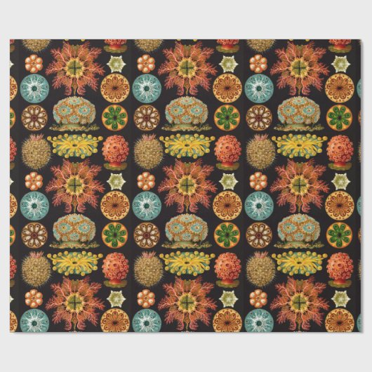 Wrapping Paper vom Sea Squirt Square Geschenkpapier (Flach)